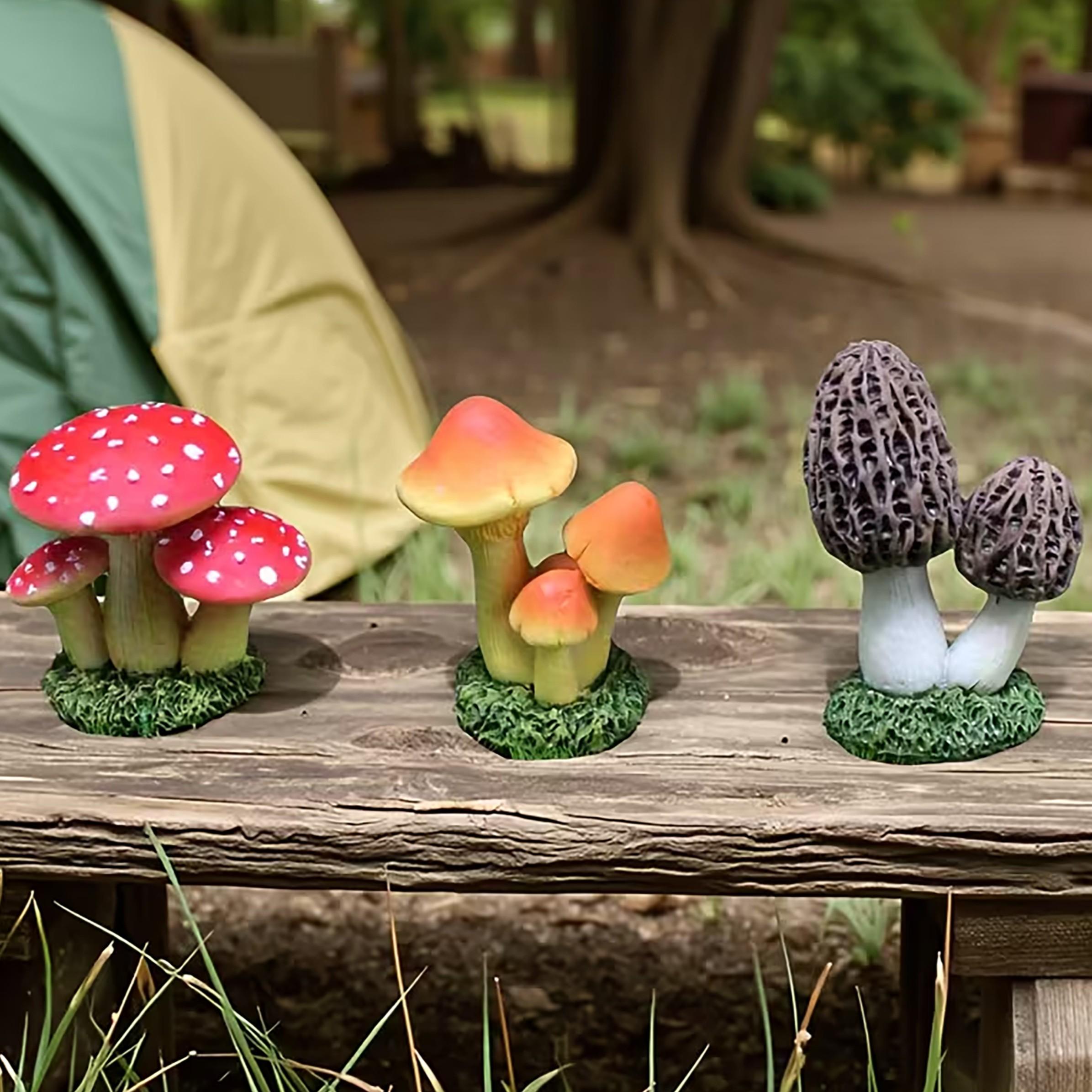Terrarium Moss Art - 1 Juego de 3 piezas de